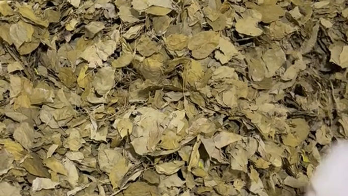 Lá giang sấy lạnh đặc sản Gia Lai